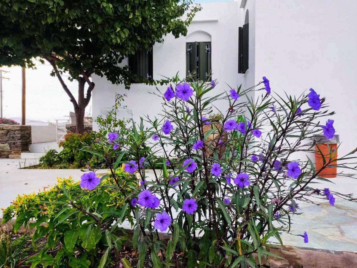 Ancient Meropia - Eden Apartment