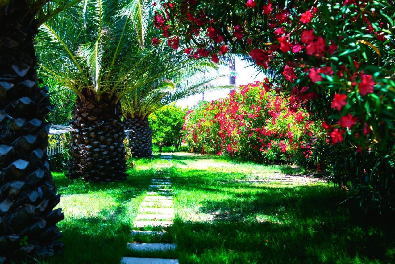 Ancient Meropia - Eden Apartmán Apollonia